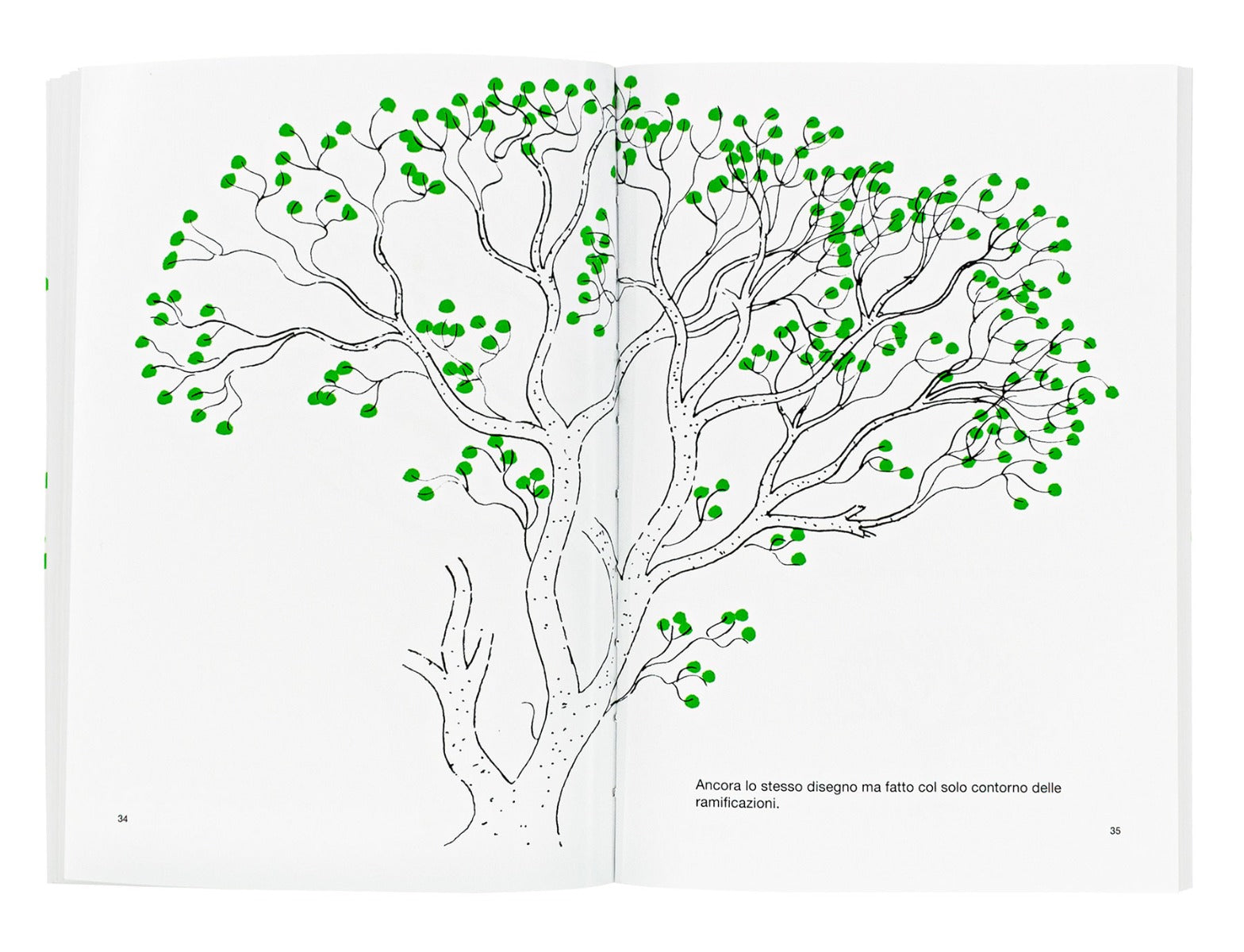 Libro - Disegnare un albero, di Bruno Munari